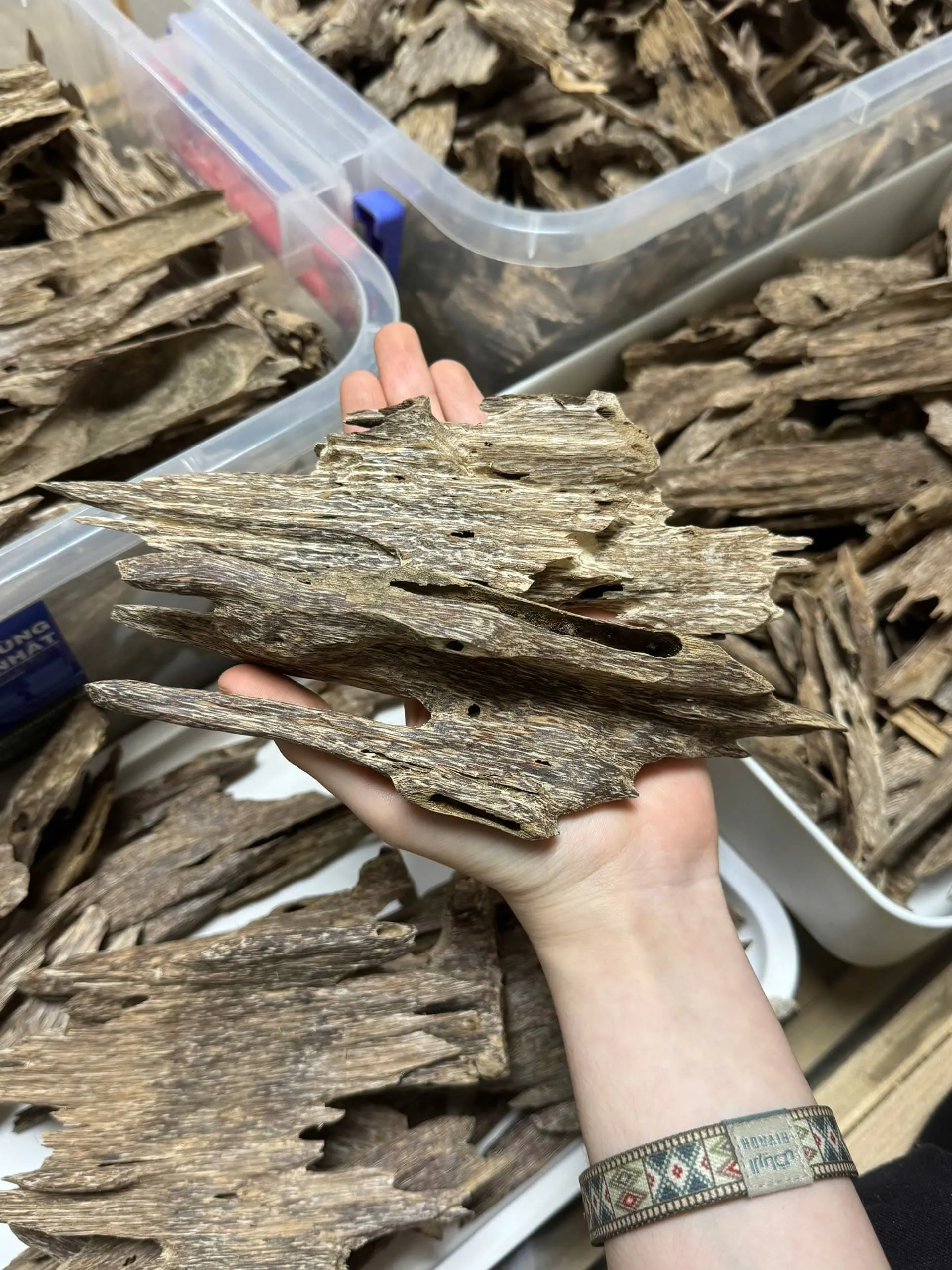 Premium Ant Oud – Natural Vietnamese Agarwood Chips (High Oil Kien Wood)